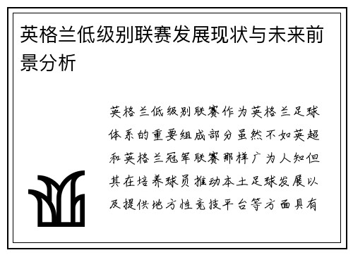 英格兰低级别联赛发展现状与未来前景分析